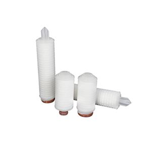 PTFE membrane pleated filter cartridge